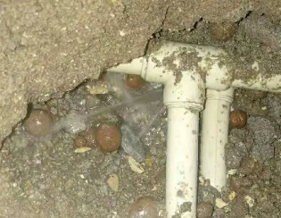 七里河卫生间测漏