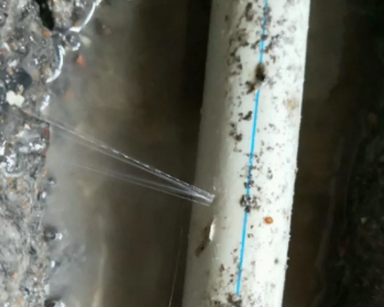 七里河卫生间测漏水多少钱