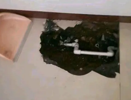 七里河卫生间测漏水多少钱